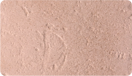 Jerusalem Beige szín